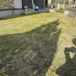 さいたま市　芝生の草刈り