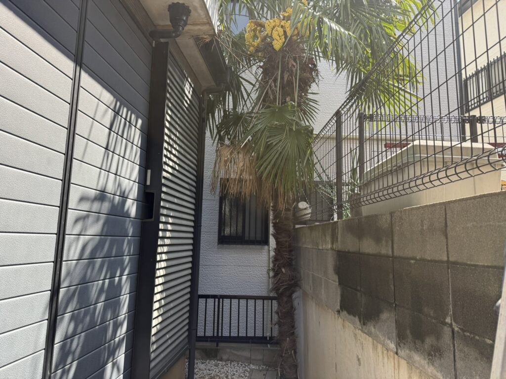 川口市シュロの伐採作業