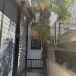 川口市シュロの伐採作業