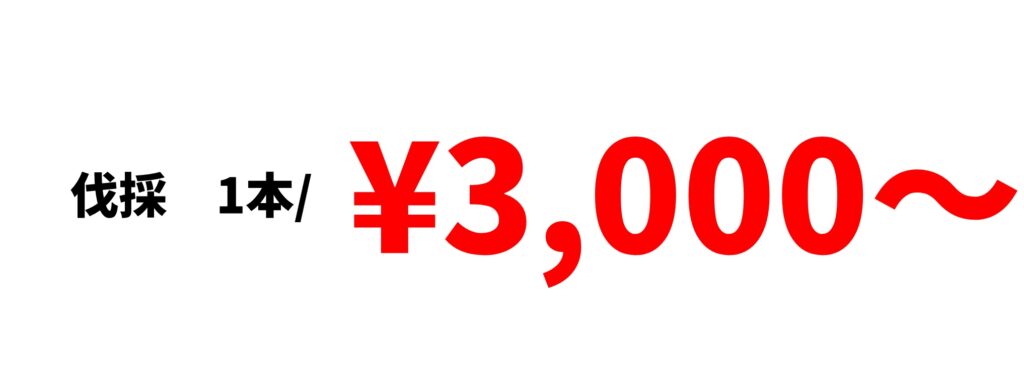川口市/さいたま市伐採料金