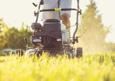 さいたま市 芝生 手入れ 業者