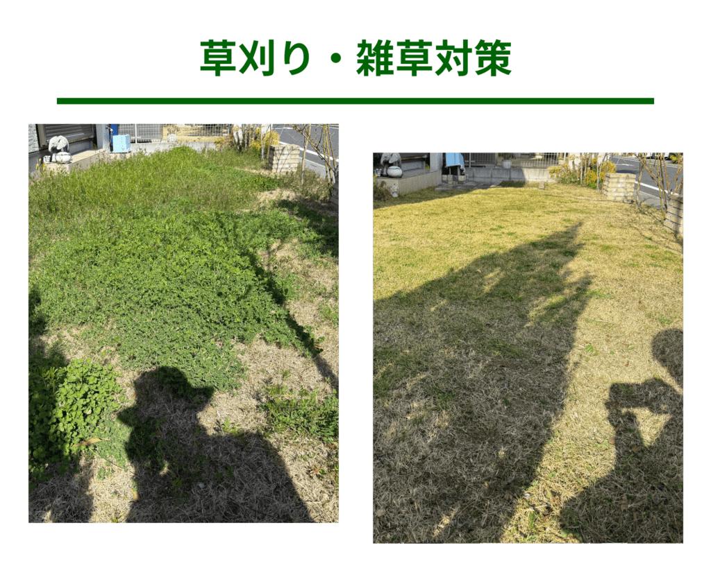 草刈り ビフォーアフター