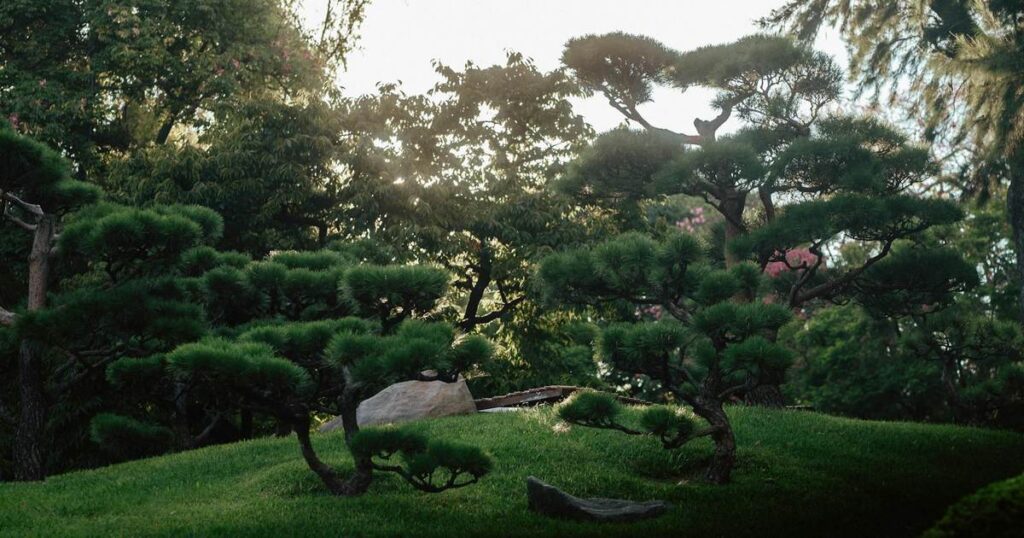 川口市 害虫消毒 業者