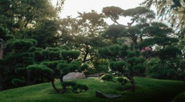 川口市 害虫消毒 業者