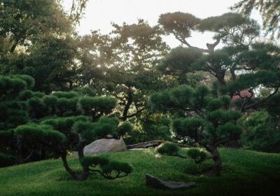 川口市 害虫消毒 業者