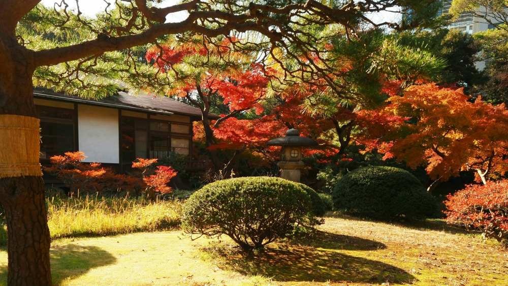 川口市 害虫消毒 業者
