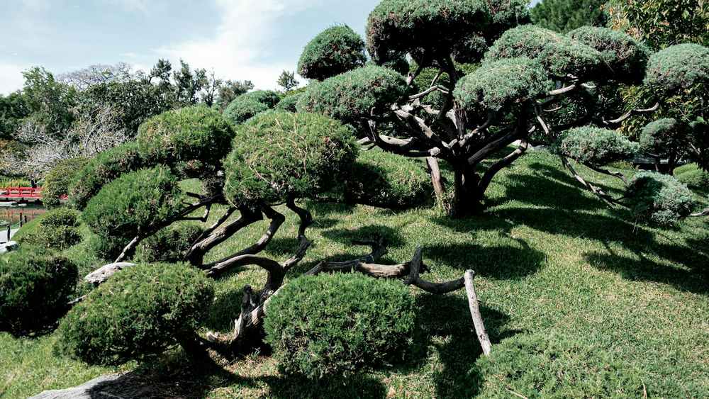 足立区 害虫消毒 業者