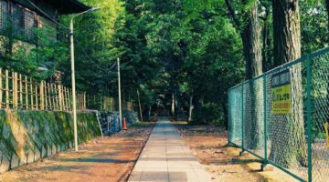 足立区 生垣 刈り込み 業者