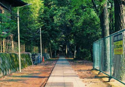 足立区 生垣 刈り込み 業者