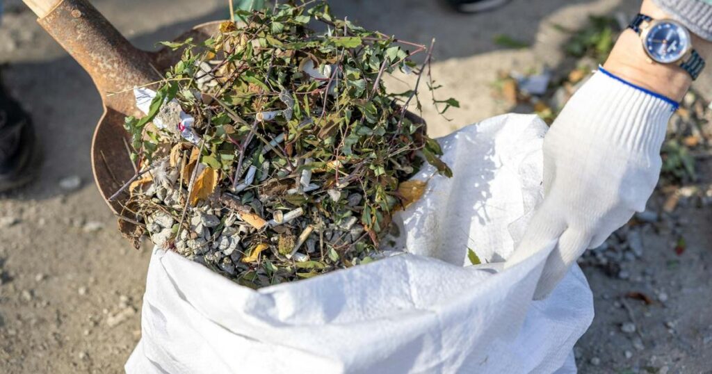 板橋区 雑草対策 業者