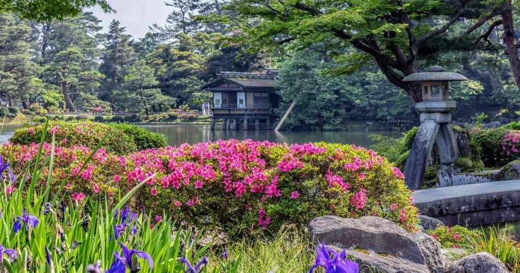 北区 ツツジ サツキ 剪定