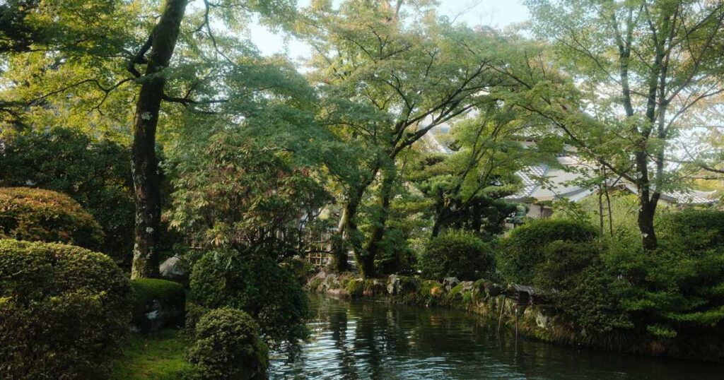 北区 庭木 剪定 業者