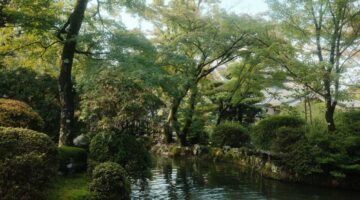 北区 庭木 剪定 業者