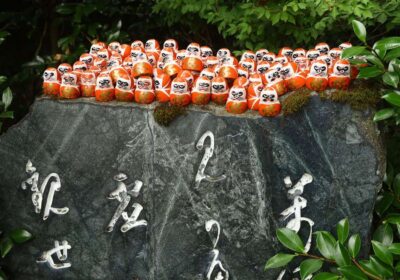 北区 庭木剪定 梅雨前