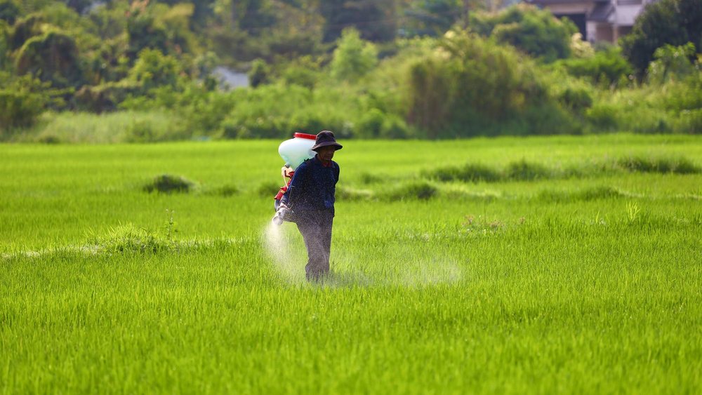 足立区 除草剤 散布 業者
