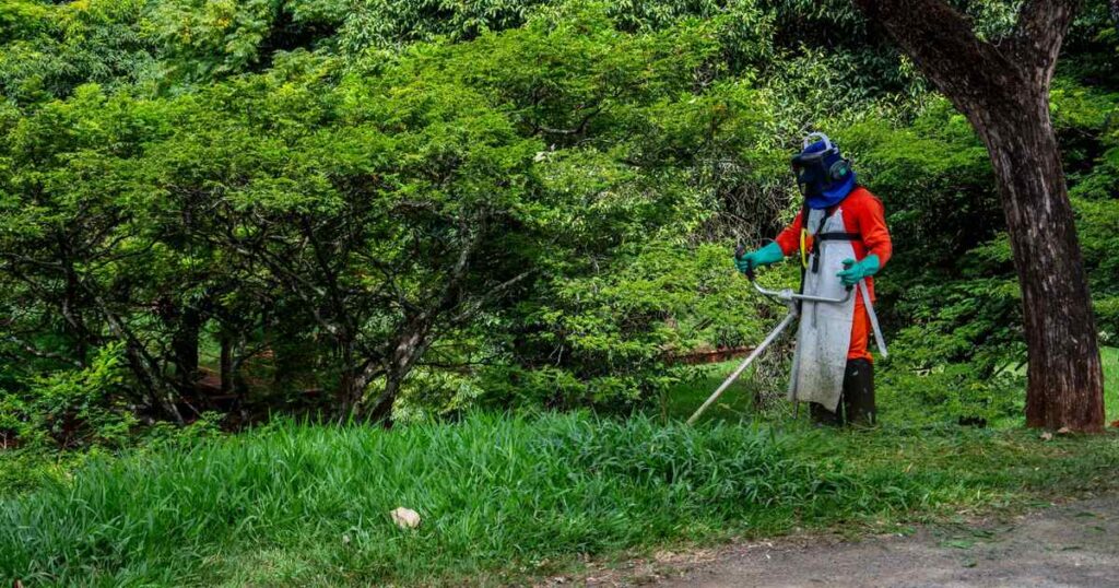 さいたま市 除草剤 草刈り 業者 費用