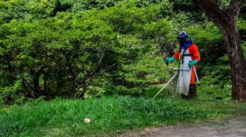 さいたま市 除草剤 草刈り 業者 費用