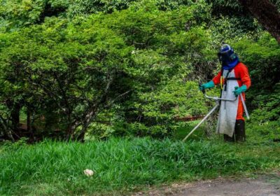 さいたま市 除草剤 草刈り 業者 費用