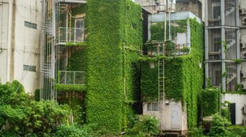 川口市 草刈り 蚊対策