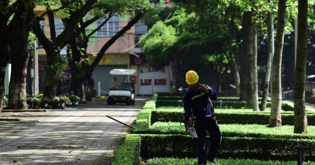 庭 蚊対策 業者
