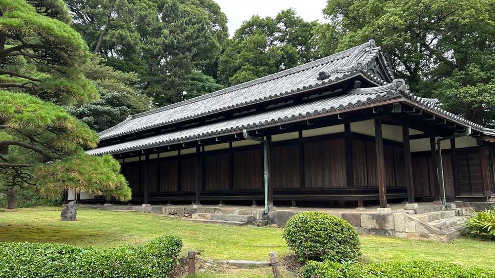 川口市 蚊対策 草刈り