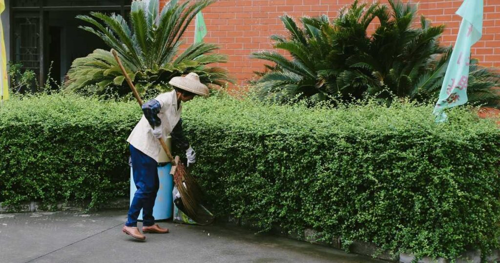 戸田市 草刈り 蚊対策