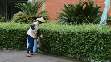 戸田市 草刈り 蚊対策