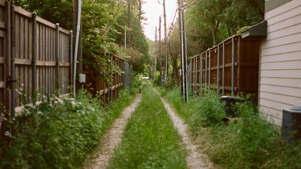 川口市 草刈り 蚊対策