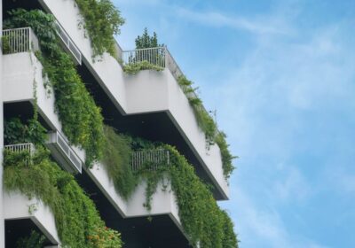 マンション 専用庭 剪定 費用