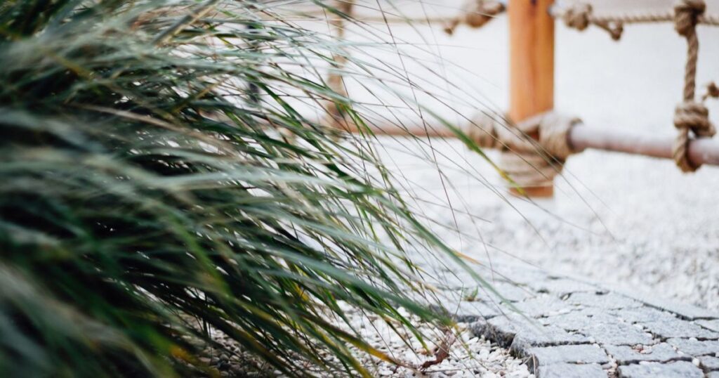 雑草対策 方法 比較 費用