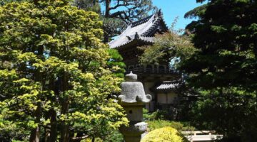 庭木 種類 手入れ 楽