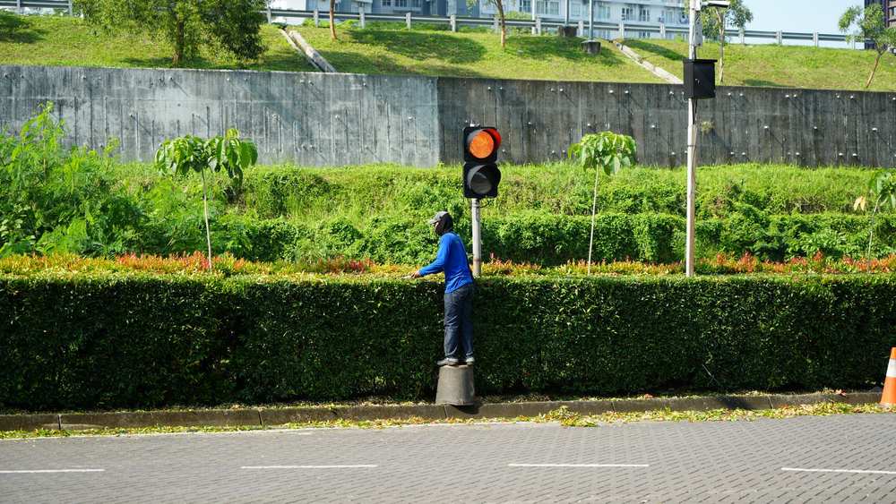 庭 手入れ 業者 種類 違い