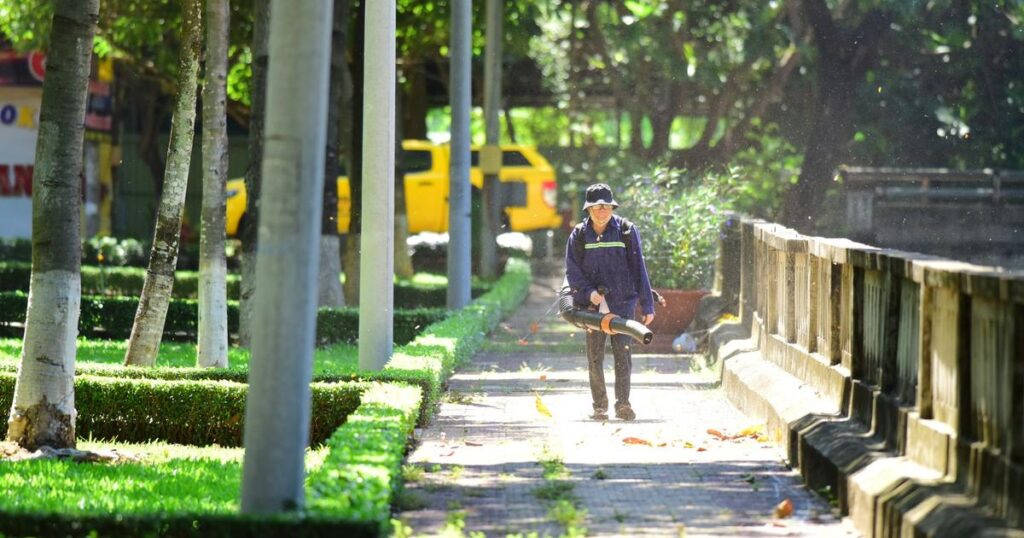 木を切る 費用 安く