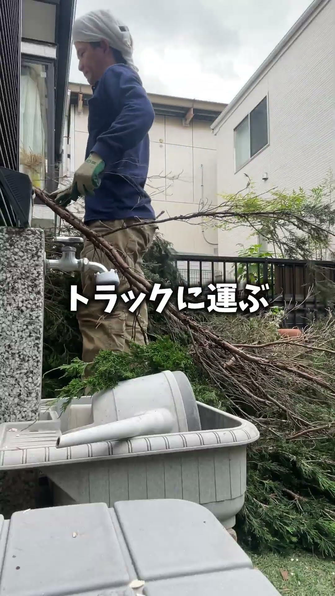 埼玉県で庭の木を伐採する作業の様子