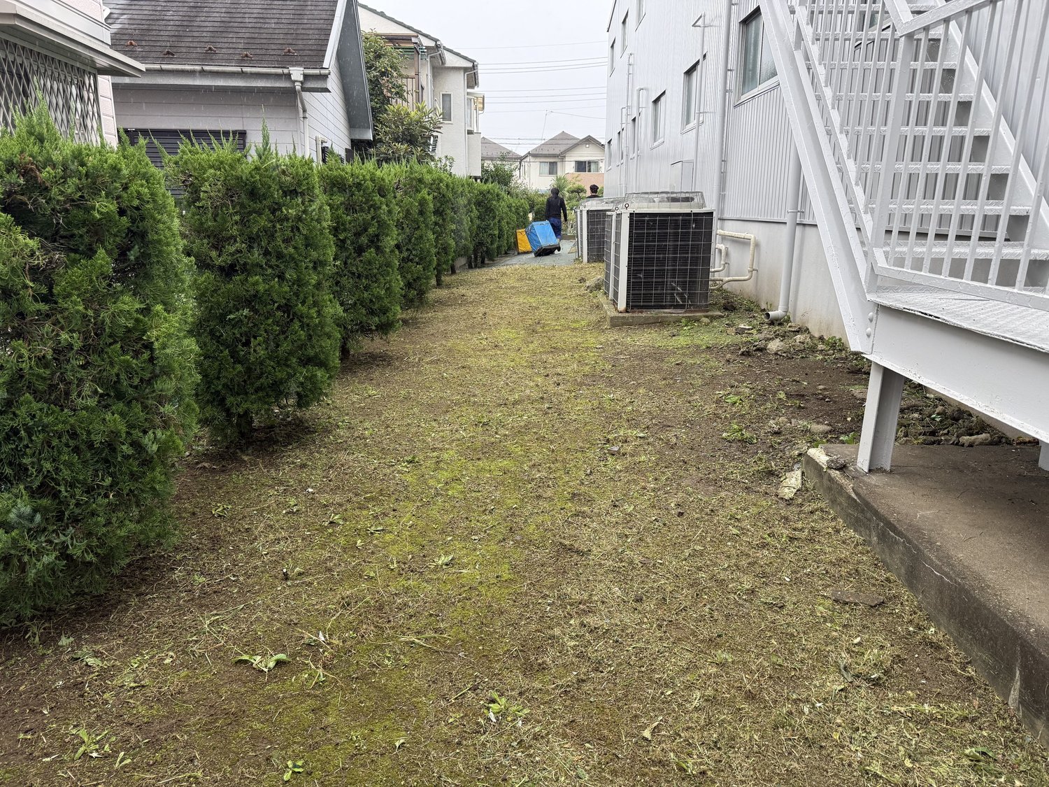 埼玉県川口市 草刈り - 作業後