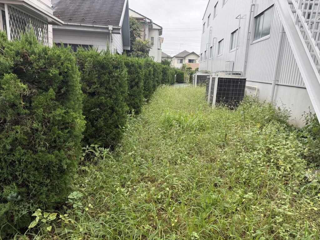 埼玉県川口市 草刈り 作業前