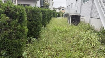 埼玉県川口市 草刈り 作業前