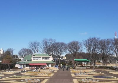 川口市・川口市立グリーンセンターの風景