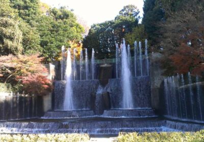 川口市・川口市立グリーンセンターの風景