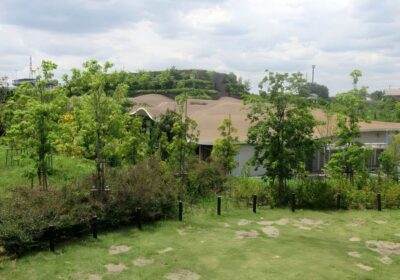 川口市・イイナパーク川口・めぐりの森の風景