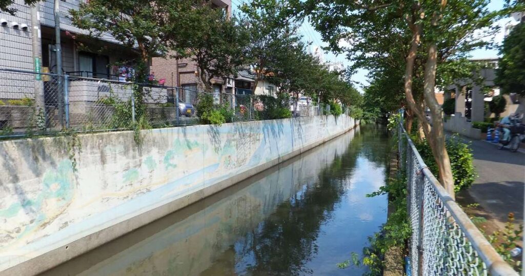 川口市・見沼代用水東縁の風景