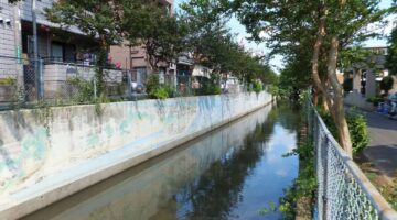 川口市・見沼代用水東縁の風景