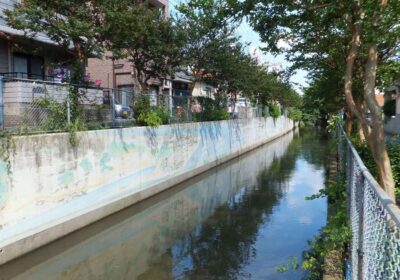 川口市・見沼代用水東縁の風景