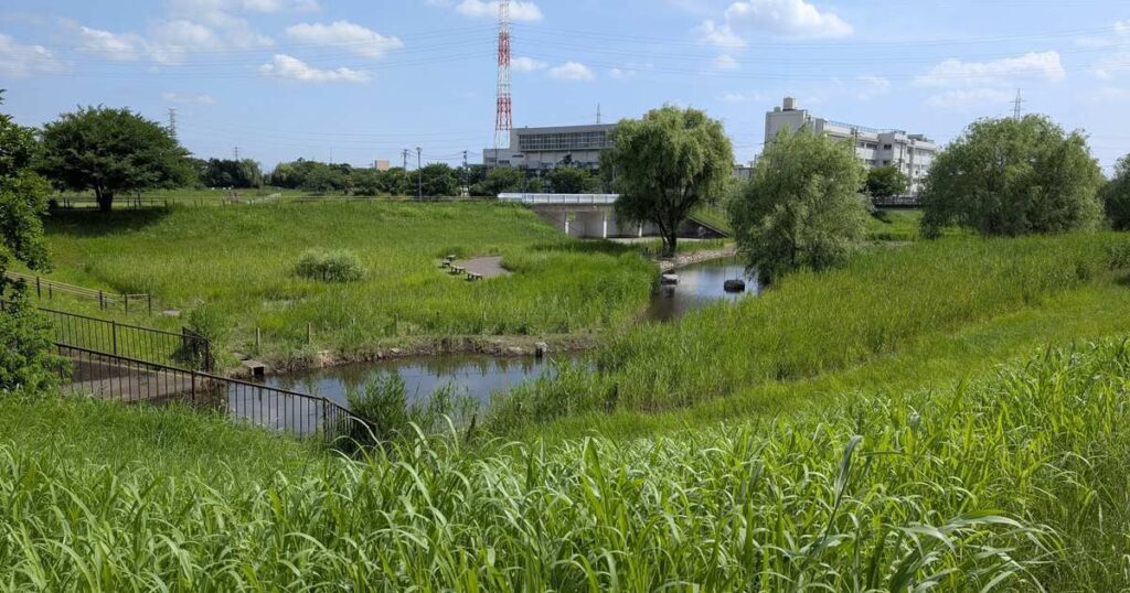 川口市・新郷東部公園の風景