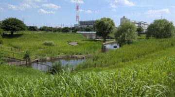 川口市・新郷東部公園の風景