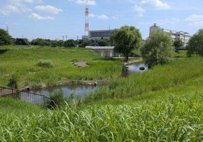 川口市・新郷東部公園の風景