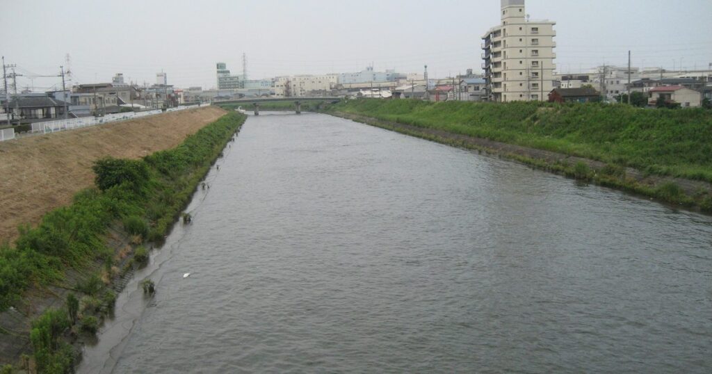 川口市・新芝川の風景