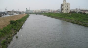 川口市・新芝川の風景