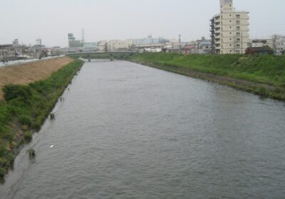 川口市・新芝川の風景