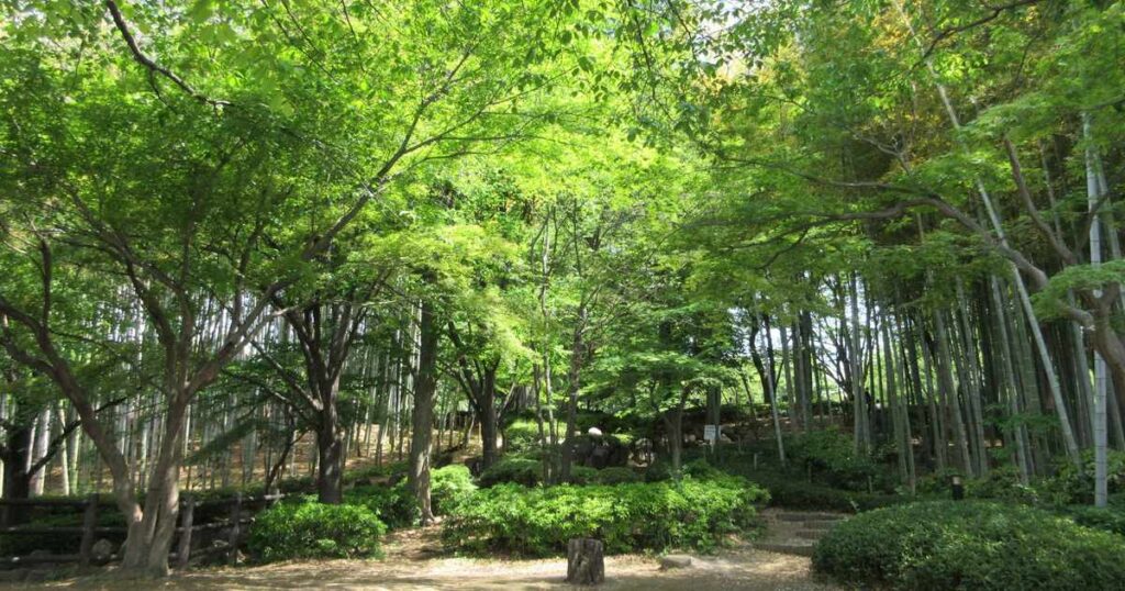川口市・戸塚中台公園の風景
